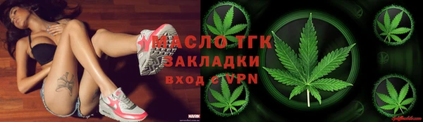 хмурый Горняк