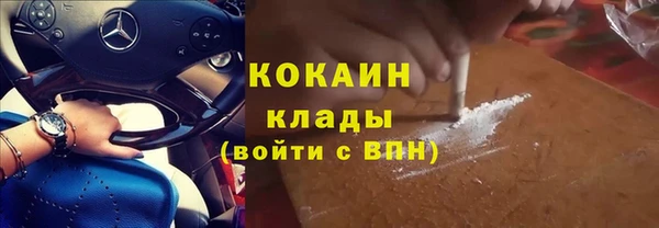 гашик Вязники
