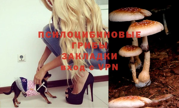 хмурый Горняк