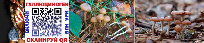 Галлюциногенные грибы Magic Shrooms  Назрань 
